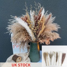 21Pcs Dried Pampas Grass Reed