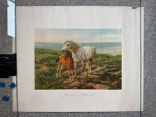 'Mother and Son' by HWB Davis 1970s art print/poster - horse and foal