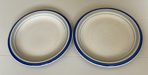Colorifics stoneware plates - colorifics,