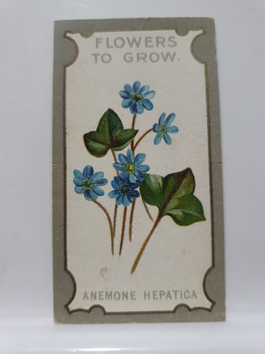 Lea cigarette card - r, lea's