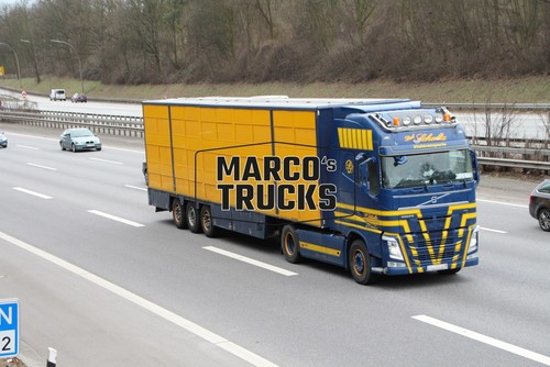 Truck photo volvo fh16 - photo, cattle