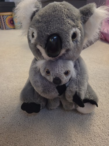 Koala bear and - bear,