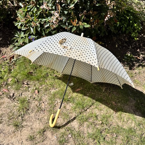 Vintage umbrella polkadot - vintage,