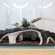 Large aquarium cave hide - aquarium,