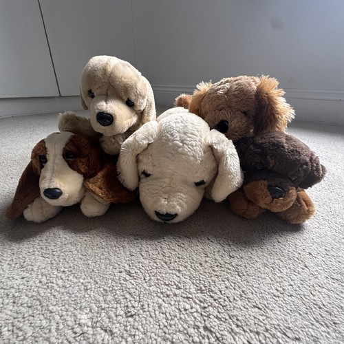 Plush children toy dogs - toy,