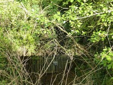 Photo A3 Entrance to tunnel