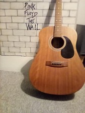 Hohner countryman acoustic