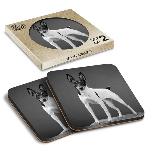Boxed square coasters bw - boxed,