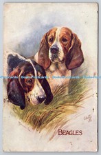 R745540 Beagles Favourite Dog