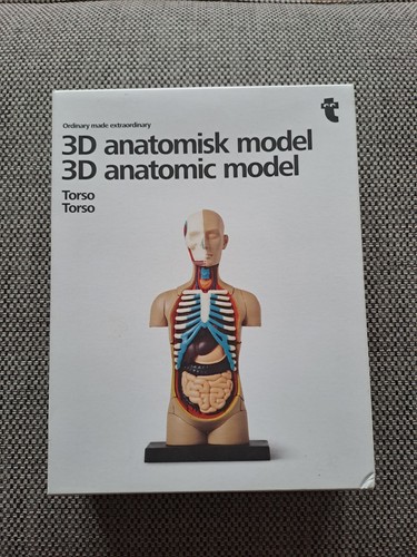Anatomic model the - anatomic,