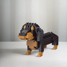 Mini Dachshund Dog Building