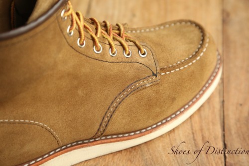 Redwing red wing - redwing,