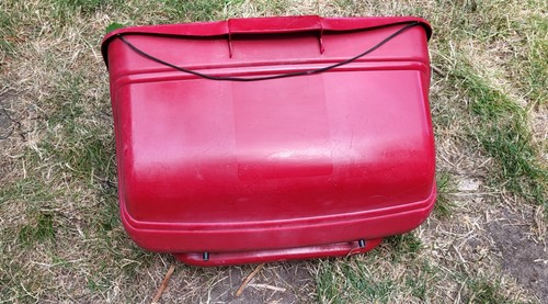 Suffolk punch grass - suffolk, 43"