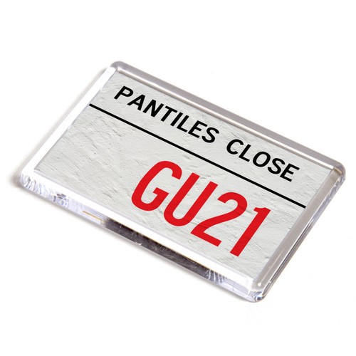 Fridge magnet pantiles - magnet, close