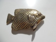 Emperor Angelfish Ornamental