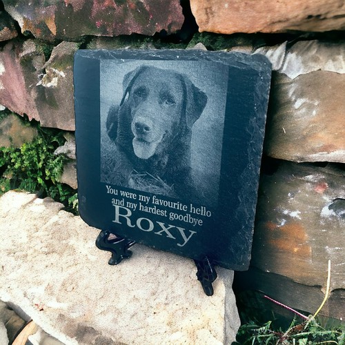Grave stone dog photo - grave, keepsake