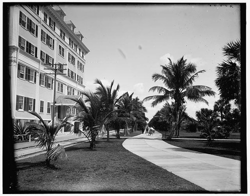 Photo palm beach florida 1900s - photo:palm,