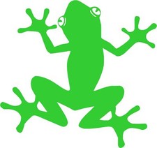 Tribal Frog Car,Camper Van