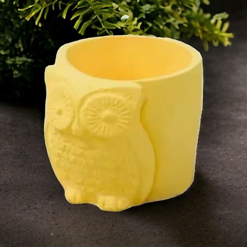 Owl succulent plant flower - succulent,