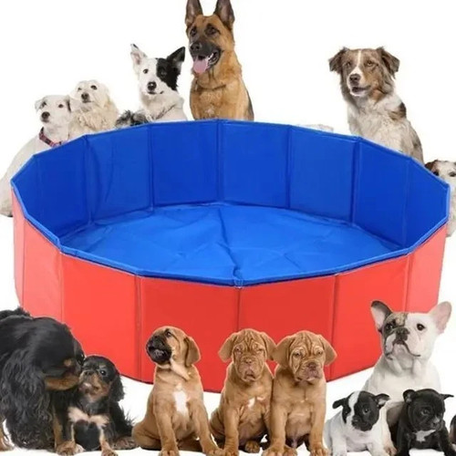 Large pet bath - pet,