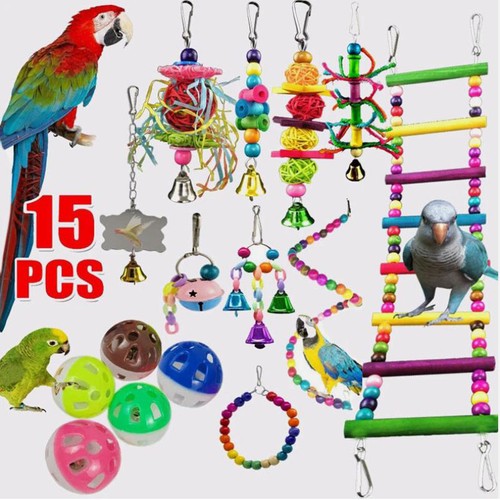 Pack parrot toys set - 15,