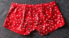 Mens / Lads Shiny Red Briefs 30"-32" waist