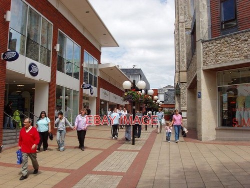 Photo lion walk shopping - photo,