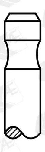 Suction intake valve
