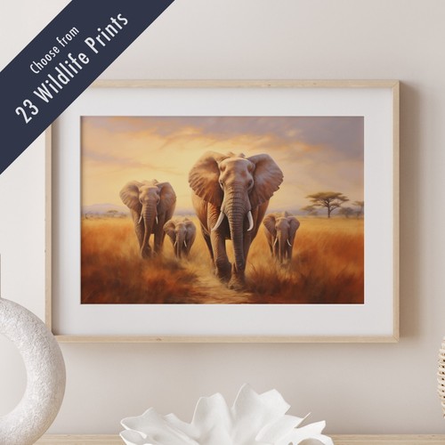 Fine art style - style, wildlife