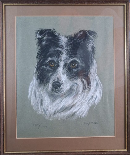 Original framed pastel dog - framed,