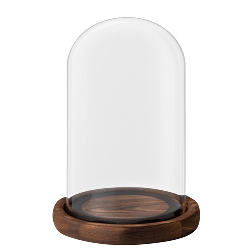 Glass display cloche bell jar - glass,