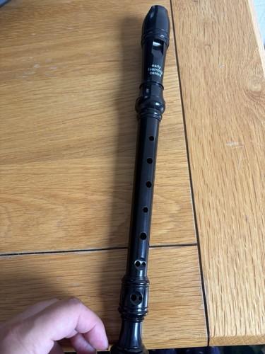 Early learning centre recorder - learning,