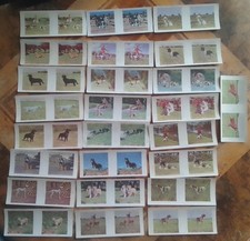 Working Dogs 25 Weetabix 3D