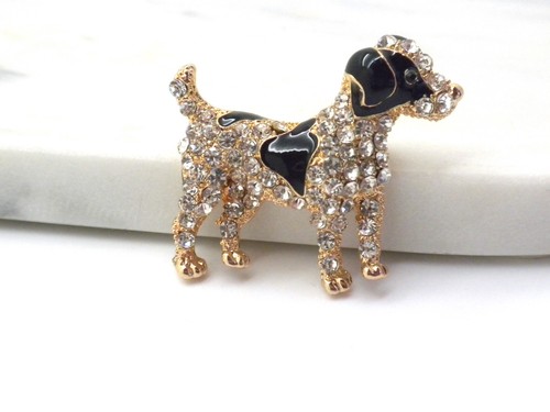 Jack russell crystal - russell, dog