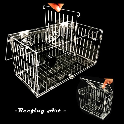 Reefing art magnetic - reefing,