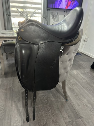 Harry dabbs dressage - harry,