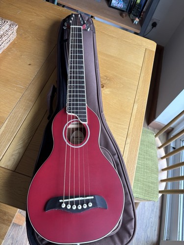 Washburn rover ro10 - washburn,