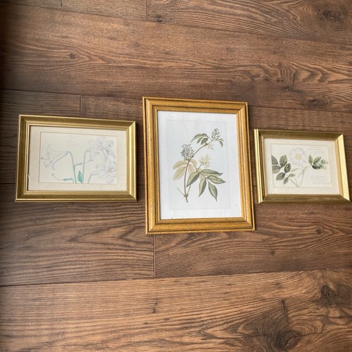 Vintage botanical floral - 3,