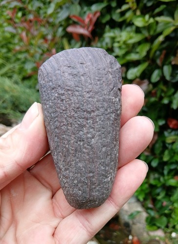 Neolithic stone tool - ~neolithic,