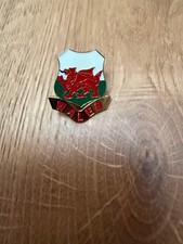 Welsh dragon shield metal and