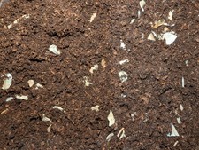 Land Snail Substrate 5 Litre 100% Natural for African Garden Snails With Calcium