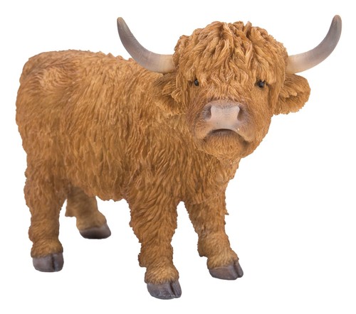 Highland cattle lifelike - -,