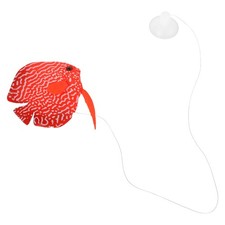 2 PCS Tropical Fish Tank