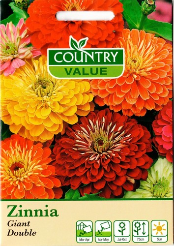 Zinnia seeds giant double - zinnia, 'giant