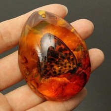 Beautiful Amber Insects Stone Pendant Necklaces NEW Nice