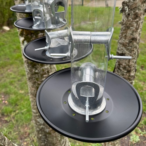 Bird feeder seed - feeder,