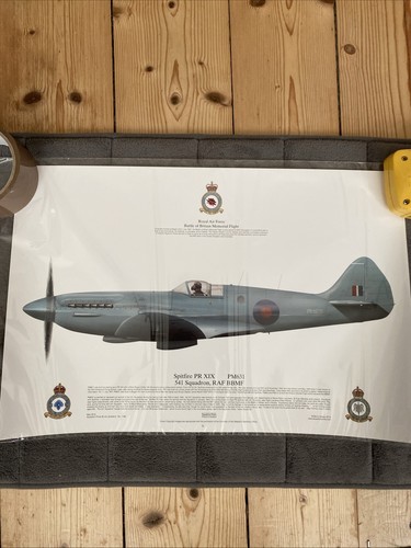 Squadron print spitfire prx1x - squadron,