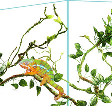 Bearded Dragon Accessories