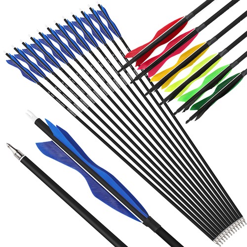 12x carbon arrows - 6/12x,