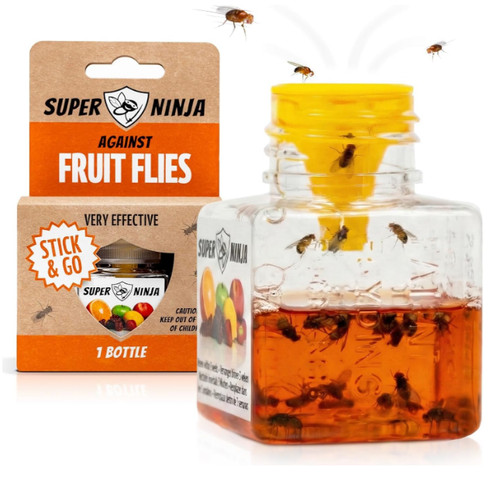 Super ninja fruit fly trap - fly, 1
